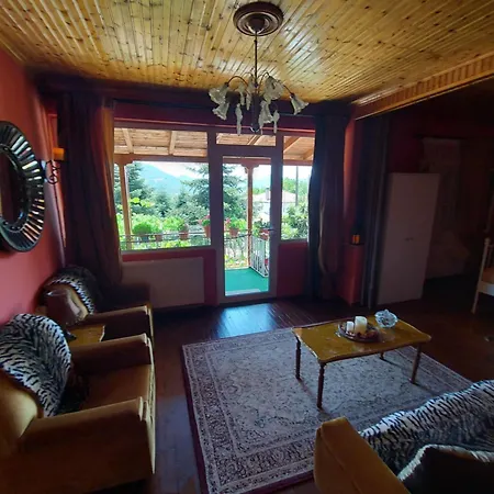 Holiday home αρχοντικό θεοδωρου Visoka